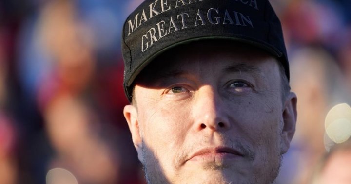 Elon Musk causes stir for endorsing Germany's far-right party ahead of election – National