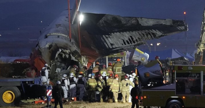 Plane crashes upon landing in South Korea, killing 179 people – National