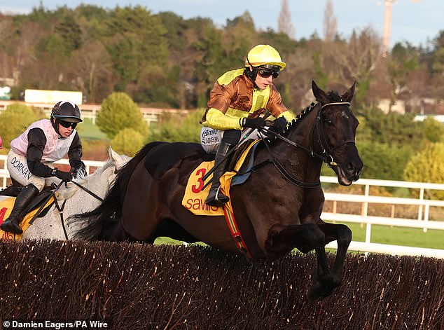 Galopin Des Champs bombs Leopardstown pitch to lay down Gold Cup scoreboard for jubilant Willie Mullins