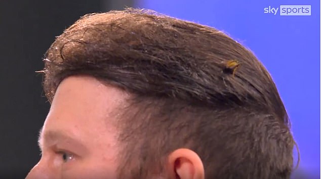 Ally Pally the Wasp is back! A flying insect lands in the darts star's hair – but he doesn't even notice – after Luke Littler was stung at last year's World Championships.