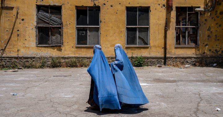 Taliban to close all NGOs that employ women in Afghanistan – National