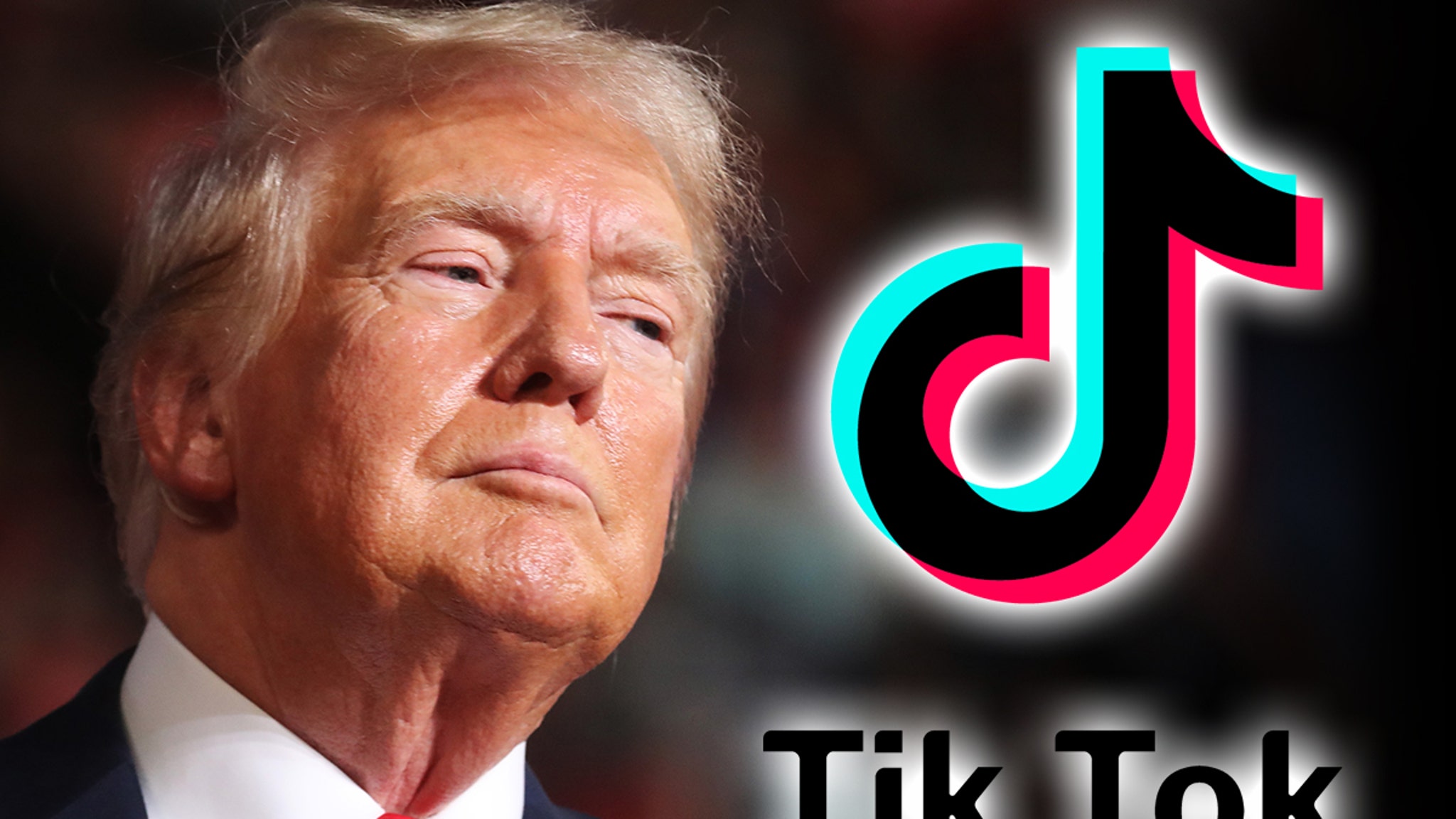 Donald Trump is asking the Supreme Court to delay the upcoming TikTok ban