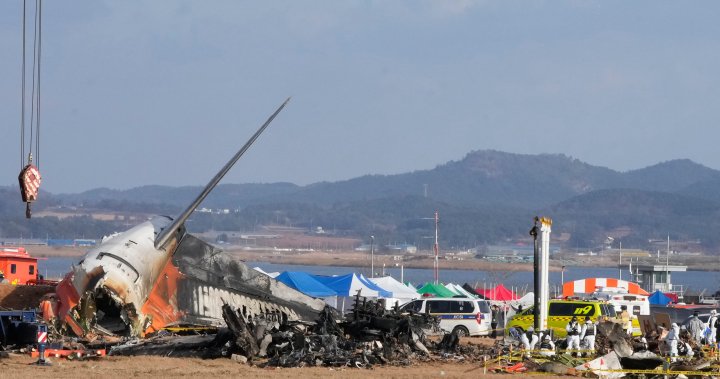 South Korea to conduct Boeing inspections after deadly plane crash – National