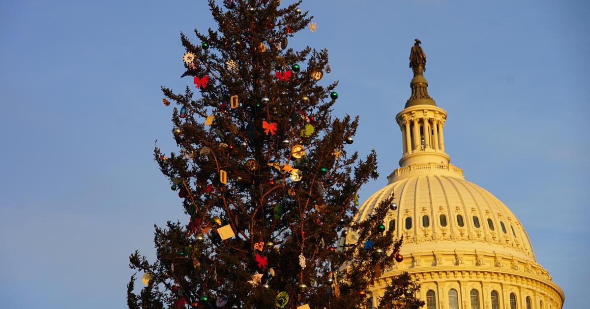 Help the Forest Service and get a great Christmas tree deal