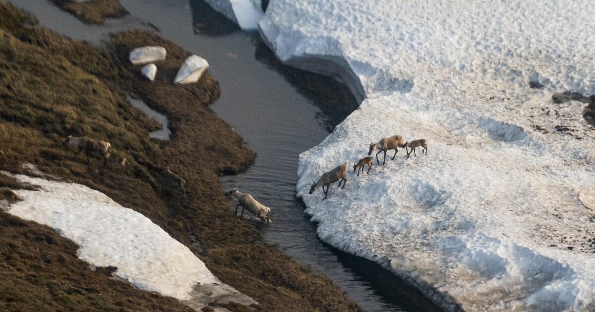 Alaska is a climate victim and perpetrator. Trump 2.0 will make things worse