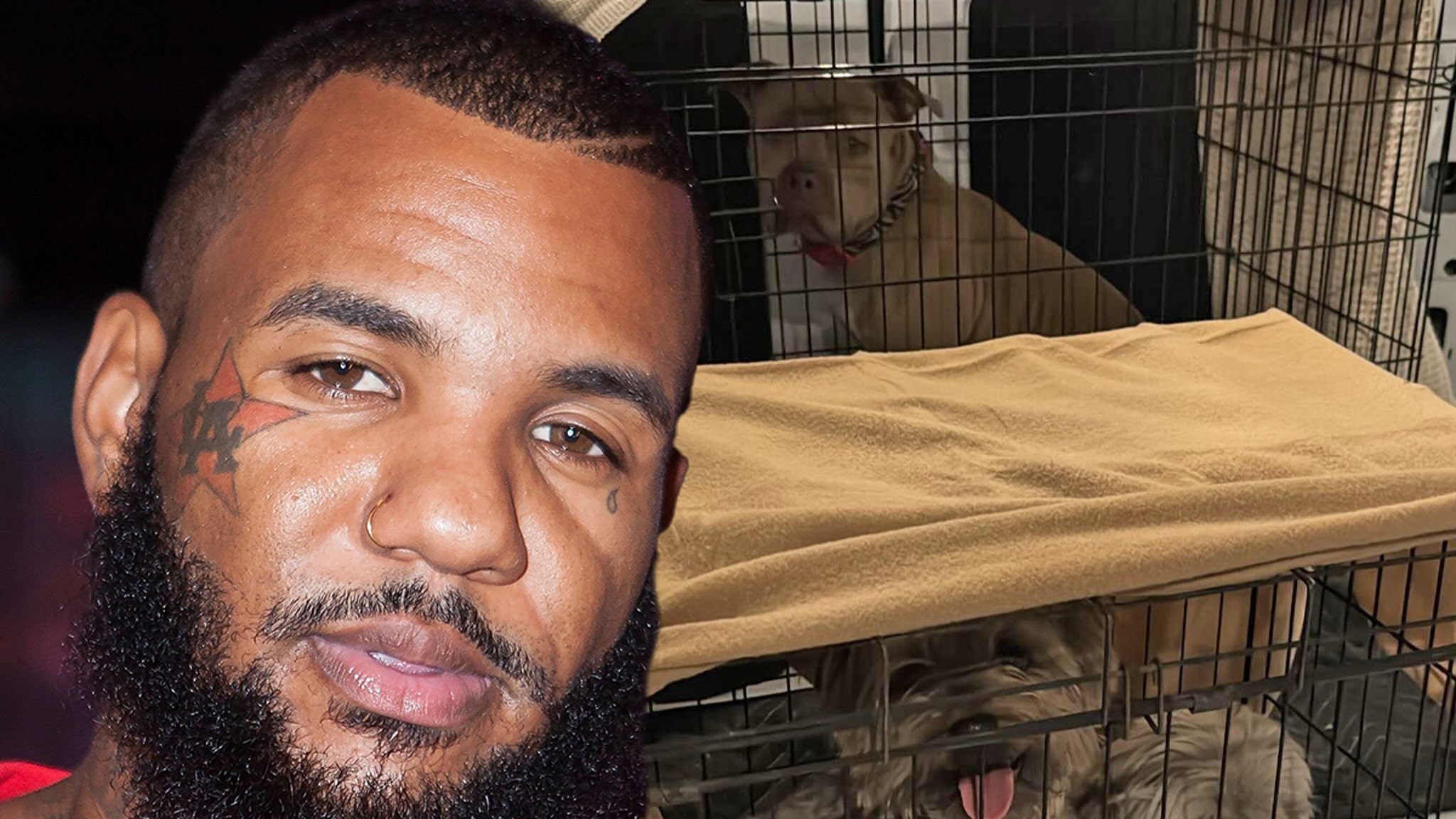 The game helps reunite animals with their owners during fires in LA