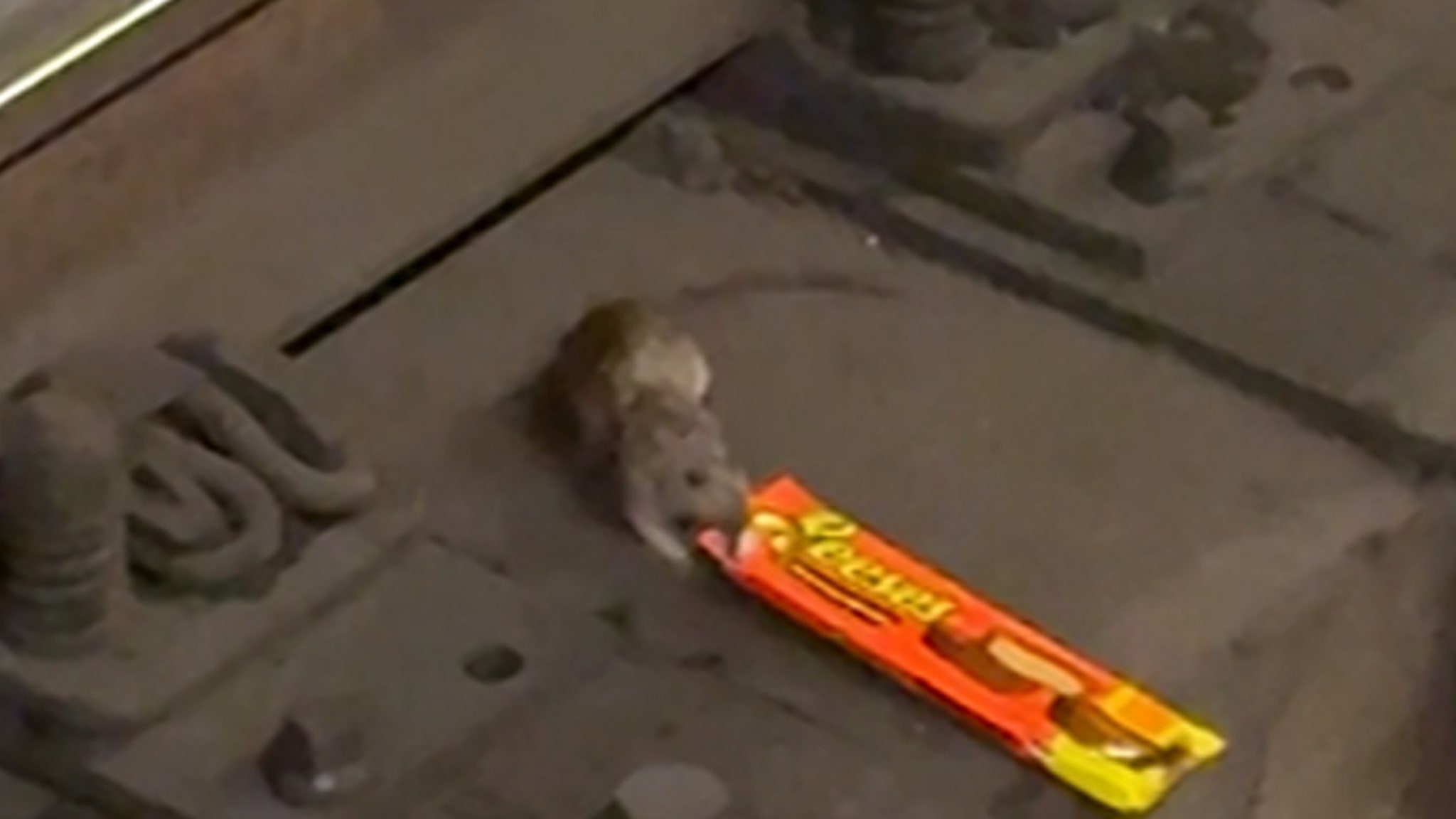 NYC Rat caught on video lugging king-size Reese's Cups across subway tracks