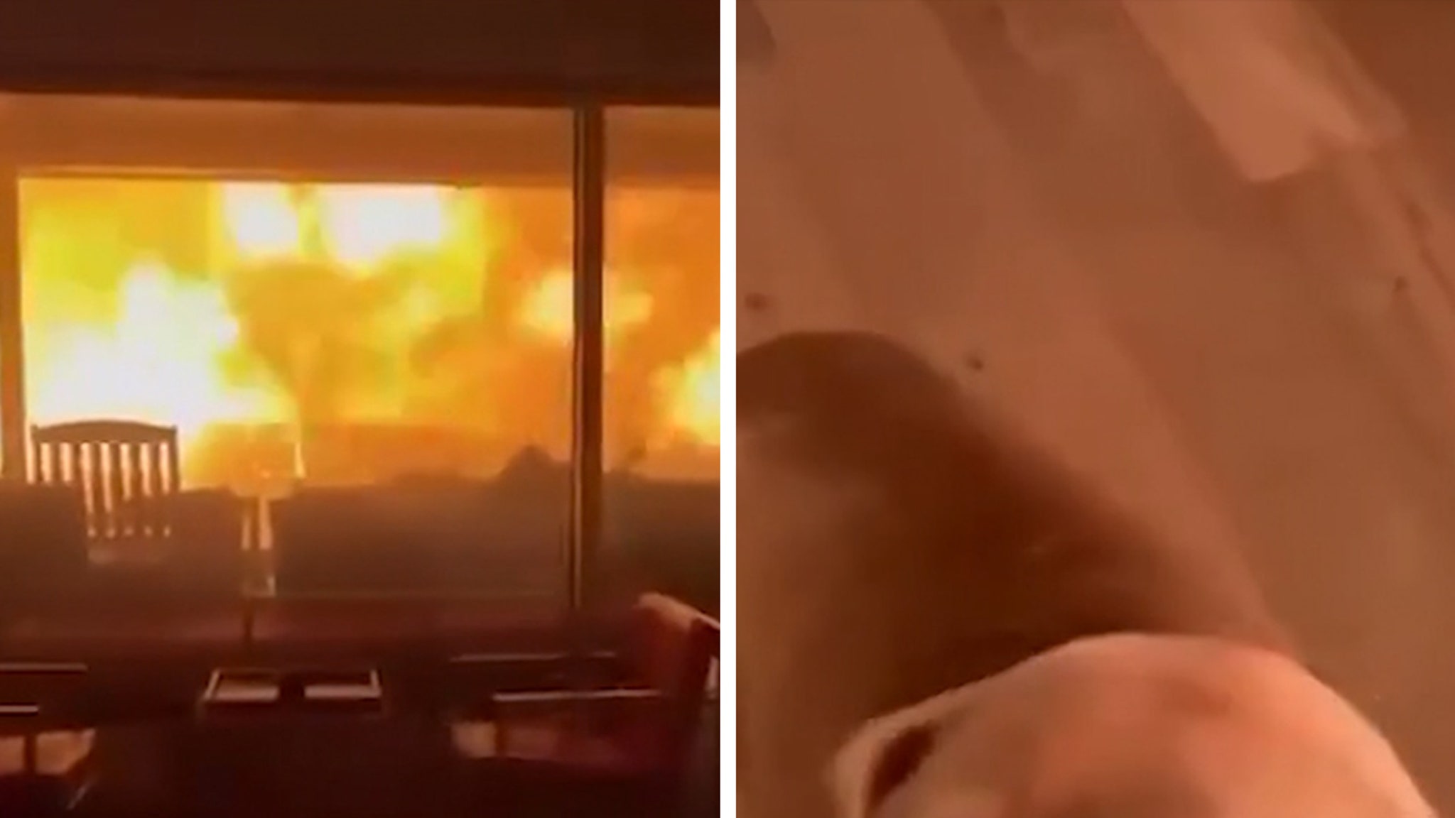 Horrifying video shows people and dogs trapped in a home as fires rage