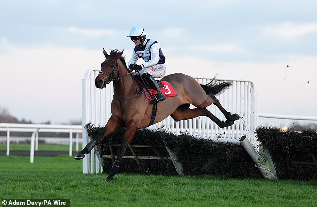 Robin Goodfellow Racing Tips: Best Bets for Tuesday, January 7