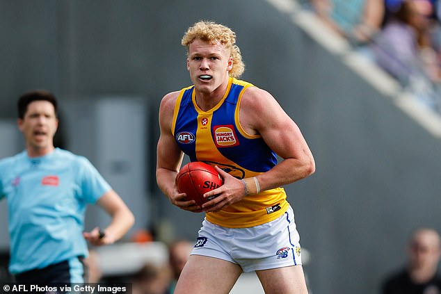 Police charge West Coast Eagles young gun for alleged rude act at music festival