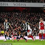 Arsenal 0-2 Newcastle PLAYER RATINGS: Who was the 'full package'? Whose display was “confident and impressive”? And which Gunners star gets only 5/10?