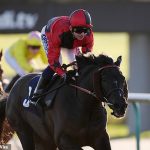 Robin Goodfellow's Racing Tips: Best Bets for Monday, January 13