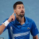 The head of the Australian Open calls the statue of Novak Djokovic, but fans are divided after the shocking Serbian champion received under