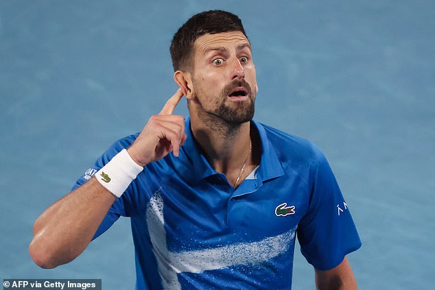 The head of the Australian Open calls the statue of Novak Djokovic, but fans are divided after the shocking Serbian champion received under