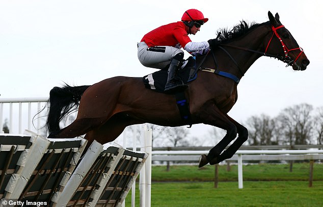 Robin Goodfellow racing tips: the best bets for Wednesday, January 29