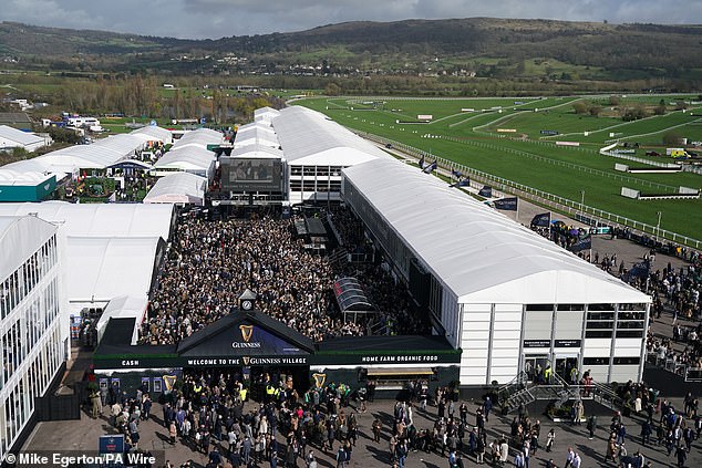 The Cheltenham Festival runners face a great disappoint