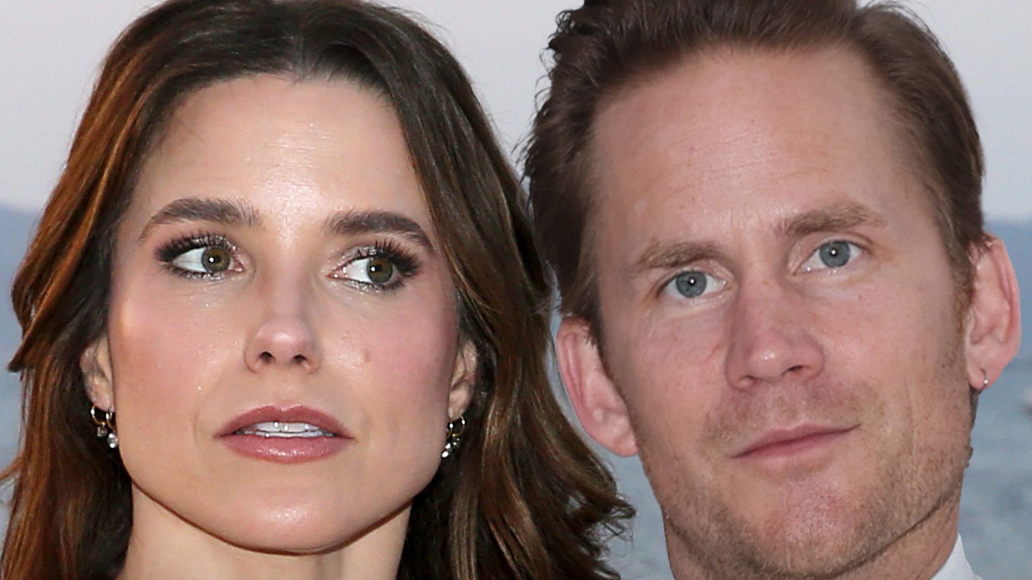 Sophia Bush is settling her divorce from Grant Hughes