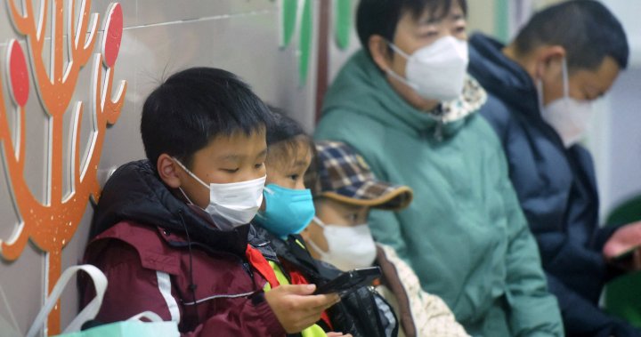 Rising cases of human metapneumovirus in China 'not unusual', says WHO – National