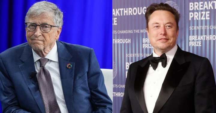 'This is crazy s—': Bill Gates criticizes Elon Musk for the support of the extreme right – National