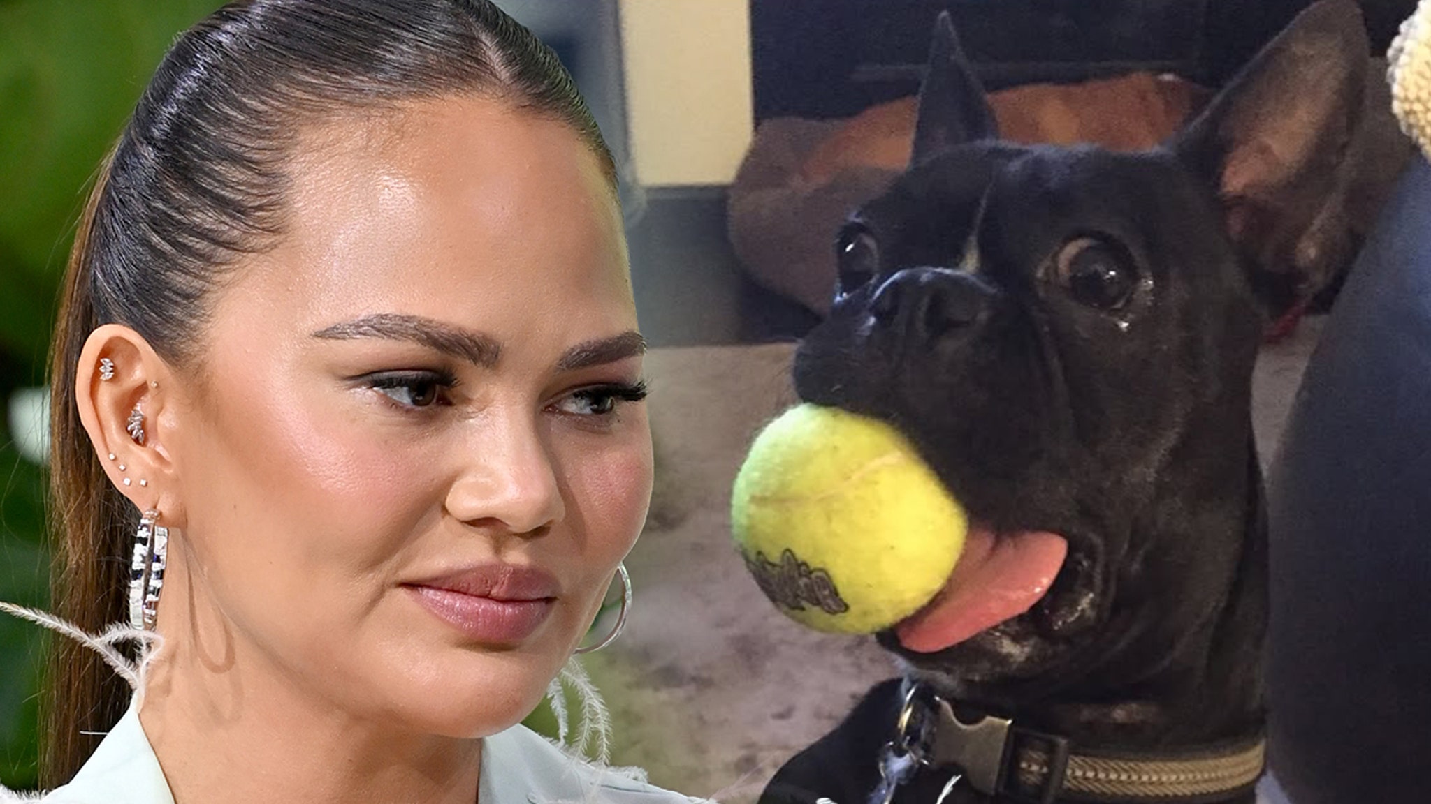 Chrissy Teigen announces dog's death