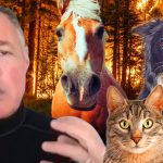 Jeff Corwin calls wildfires a “disaster” for mountain lions, condors and bears