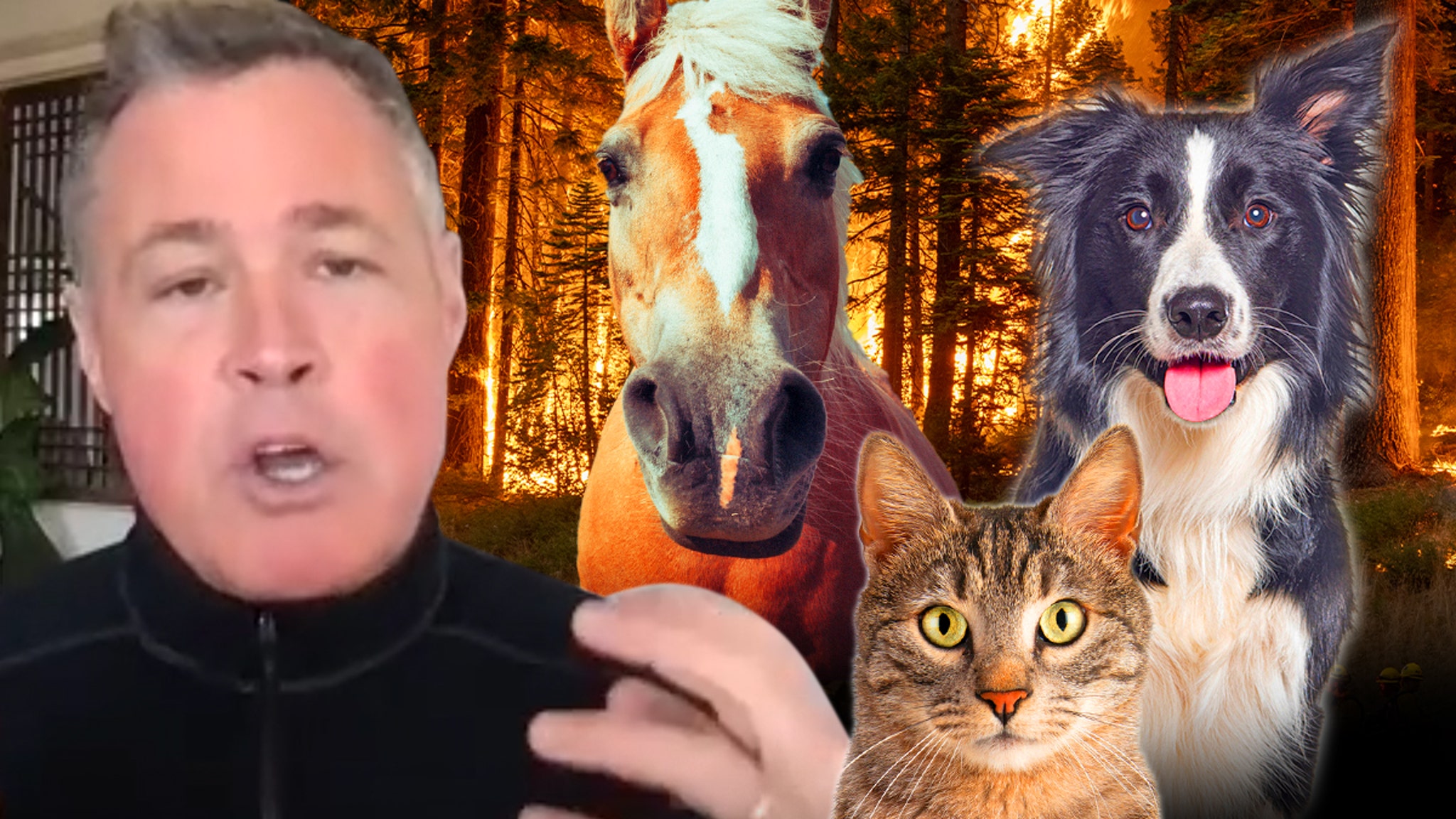 Jeff Corwin calls wildfires a “disaster” for mountain lions, condors and bears