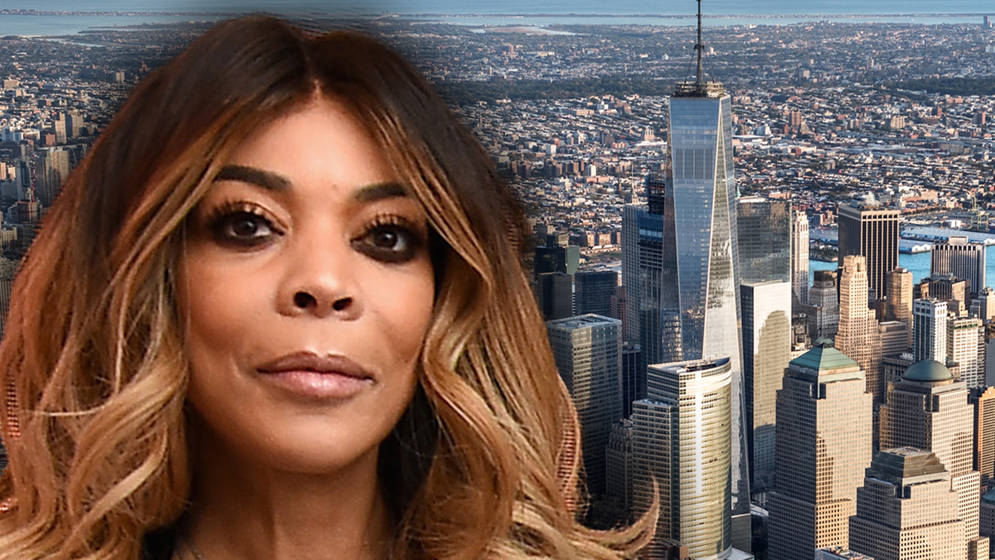 The controversy over Wendy Williams' conservatorship is spurring the New York senator to push for new legislation