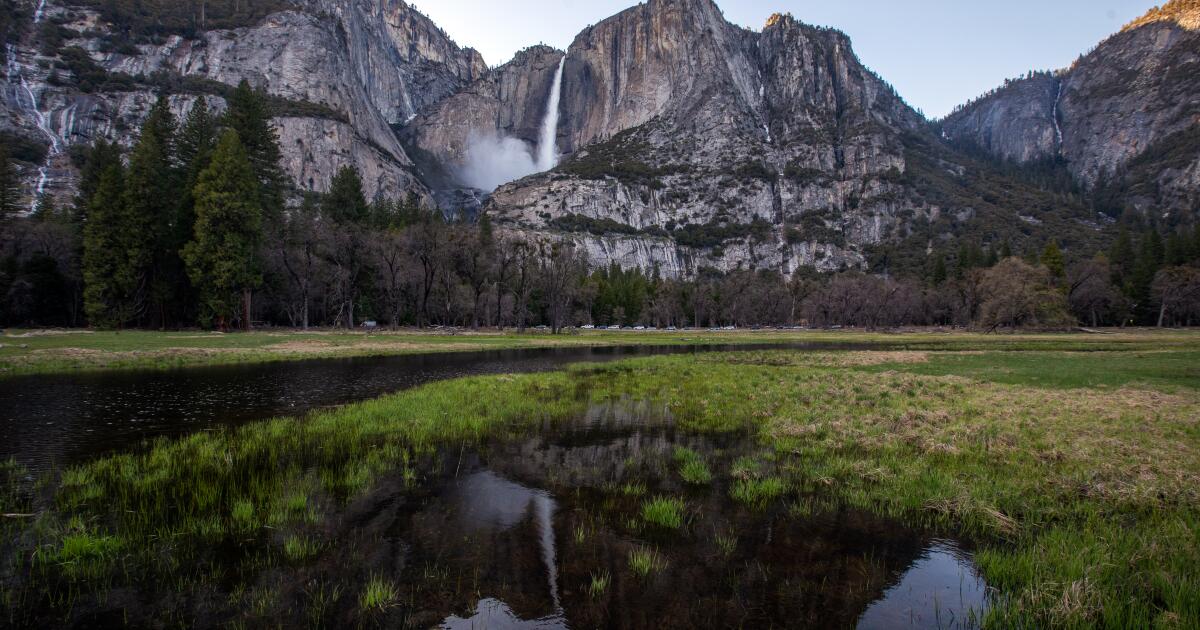 When Trump fed the jobs, even national parks when he chopped the block