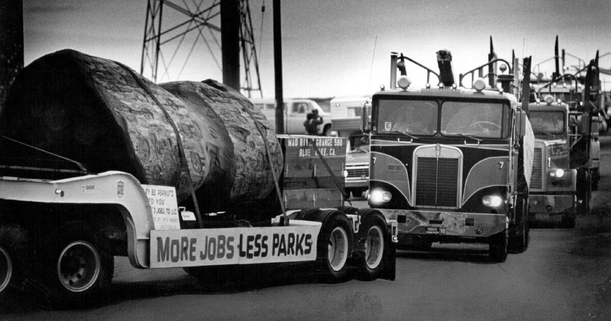 Jimmy Carter and the Sad Saga of a 9-Ton Northern California Peanut