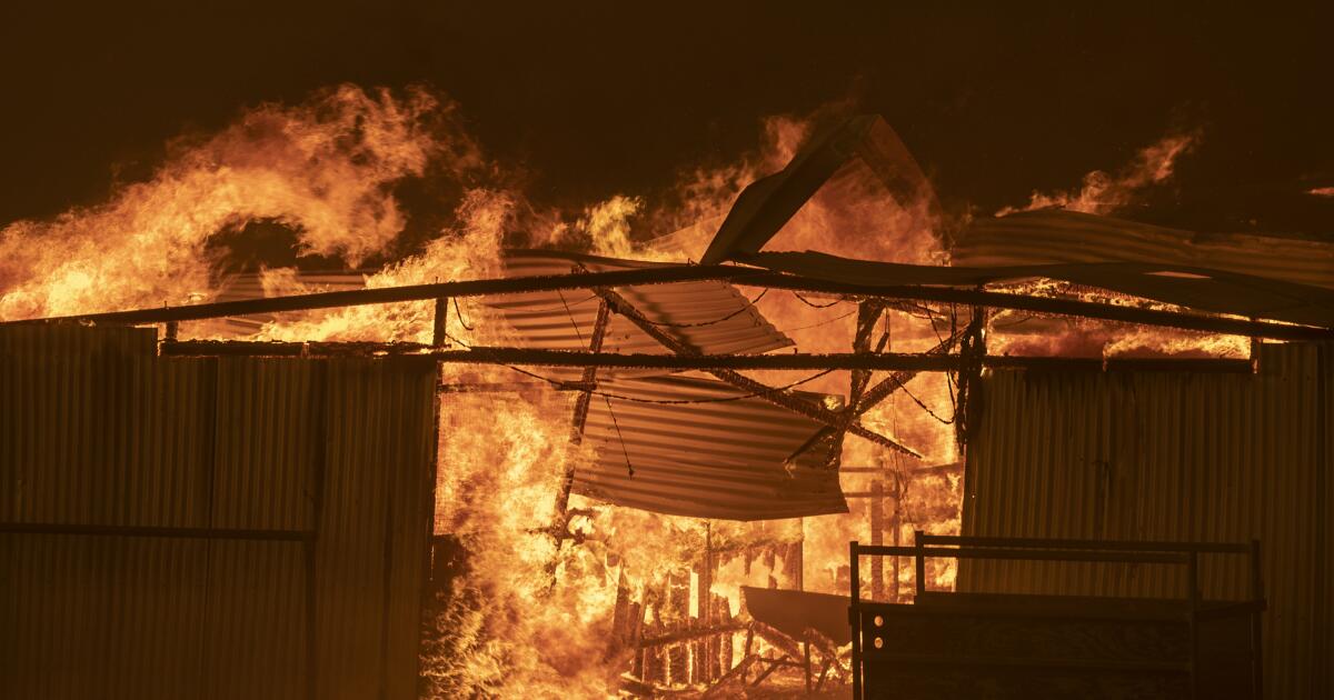 Fire lessons from the Australian capital, where an inferno in 2003 changed everything