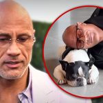 Dwayne 'The Rock' Johnson's French Bulldog -Hobbs dies