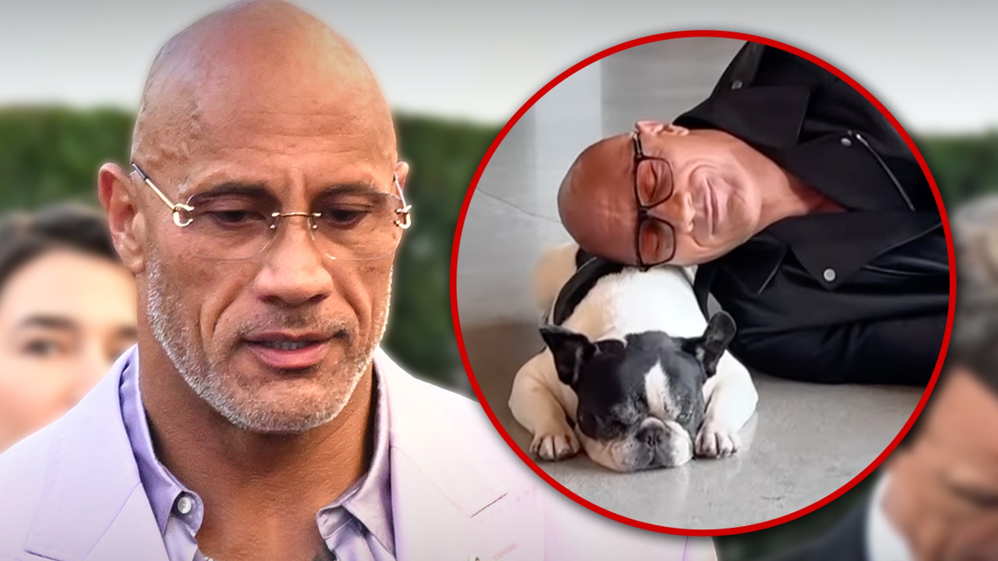 Dwayne 'The Rock' Johnson's French Bulldog -Hobbs dies