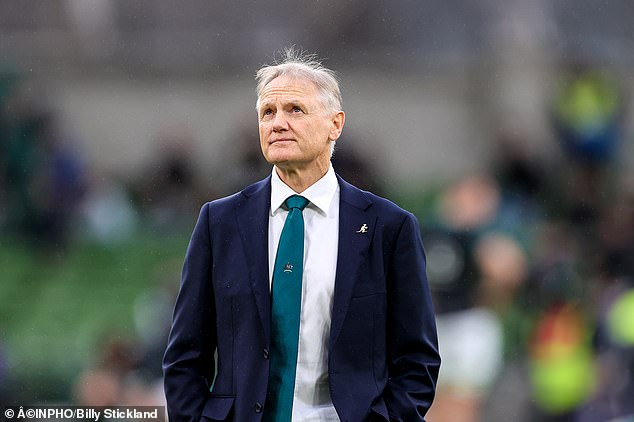 The Wallabies leave a great training bomb in the future of Joe Schmidt before the tour of British and Irish lions of this summer