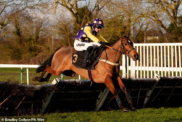 Robin Goodfellow racing tips: best bets for Friday, February 7