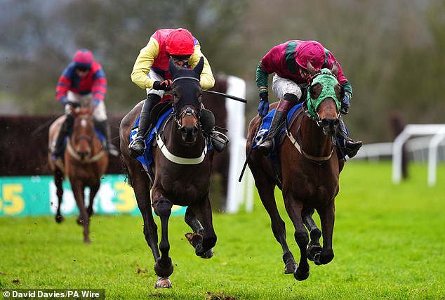 Robin Goodfellow racing tips: best bets for Saturday, February 8