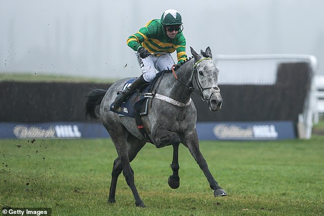 Joyeuse of Nicky Henderson steals the program to win William Hill Hurdle in Newbury and extend the excellent coach's record