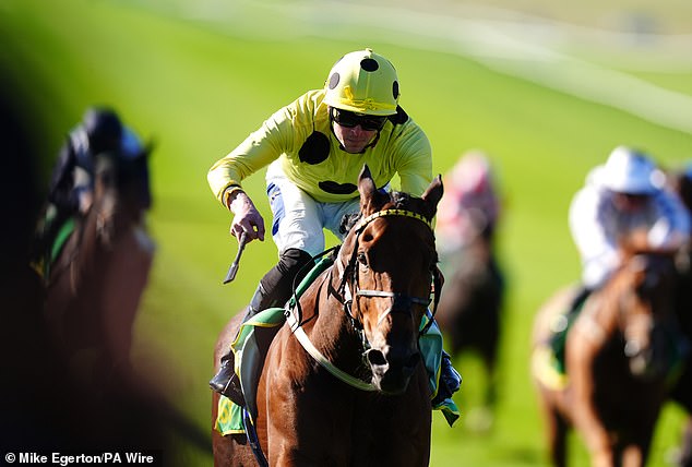 Robin Goodfellow racing tips: best bets for Friday, February 21