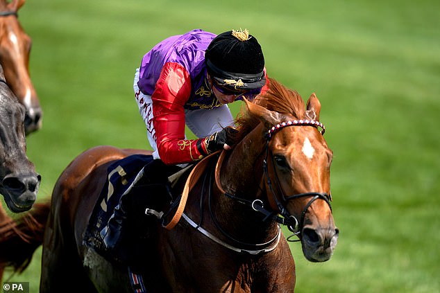 Why King Charles could be online for low glory with his Ascot hero: confidential races