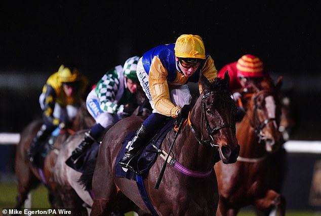 Robin Goodfellow racing tips: the best bets for Monday, February 24