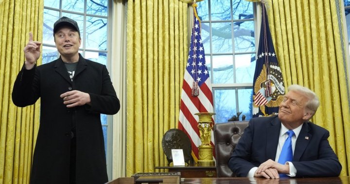 Trump, Musk defends efforts to reduce the workforce and expenditure of the United States – National