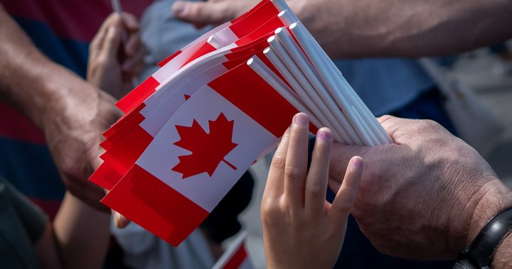 'Proud of our country': Pride in the Canadian flag increases as the battle with Trump continues