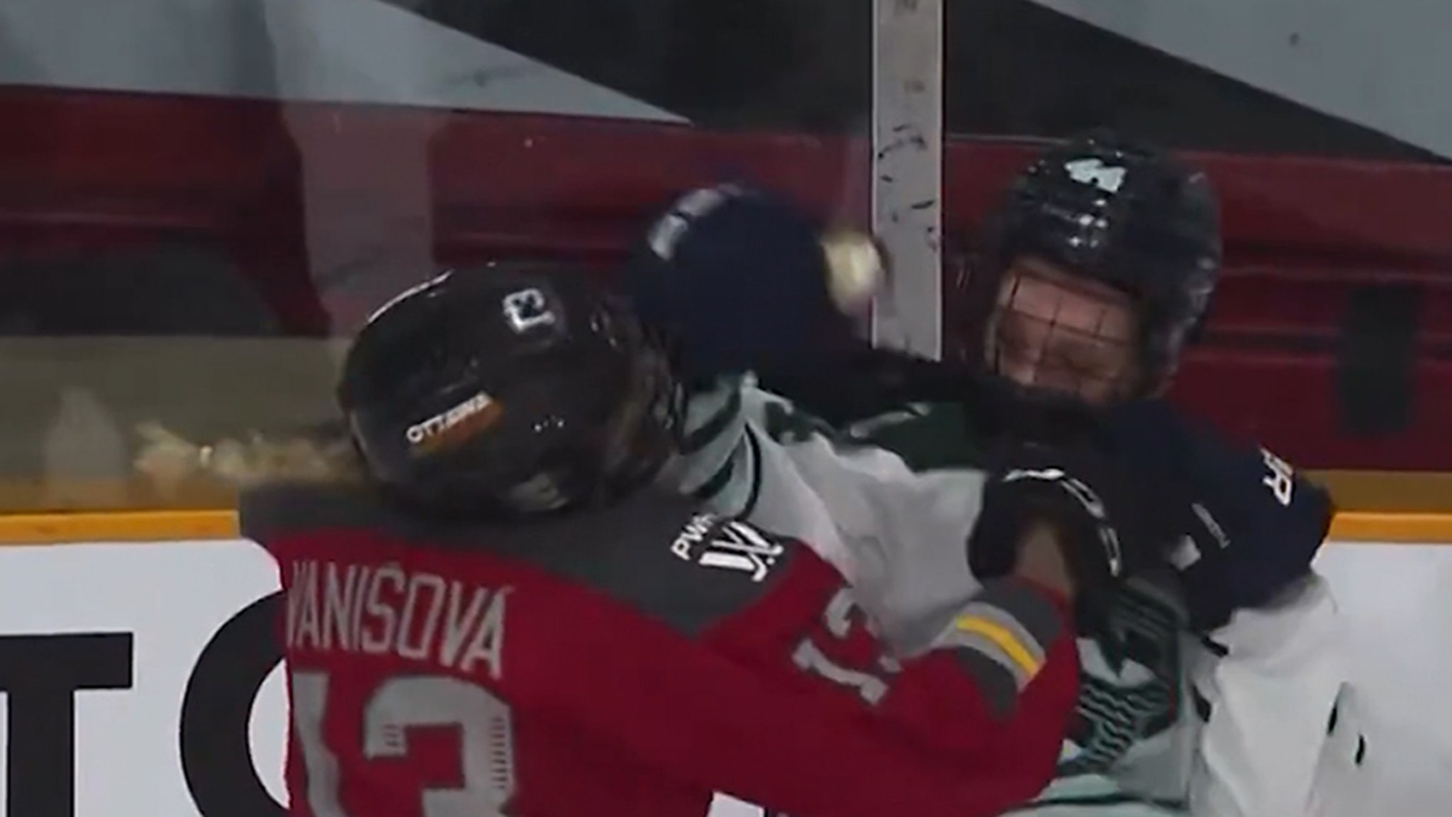 Professional hockey players for women throw the fight in the fight during the game