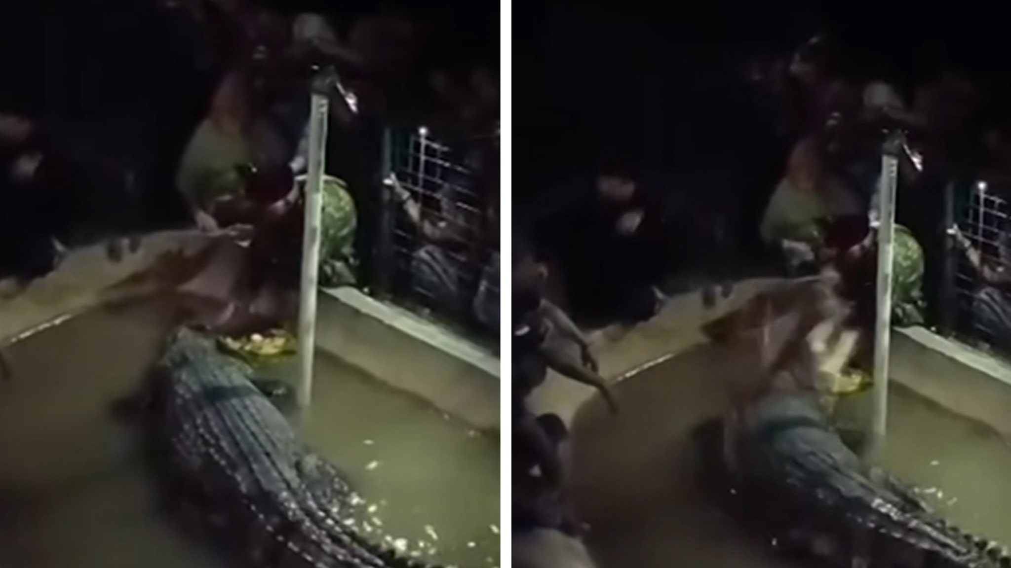 Crocodile attacks older man in Indonesia, scary moment caught in the video