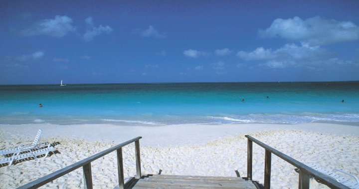 Seriously injured tourist after approaching Shark for a photo in Turks and Caicos – National