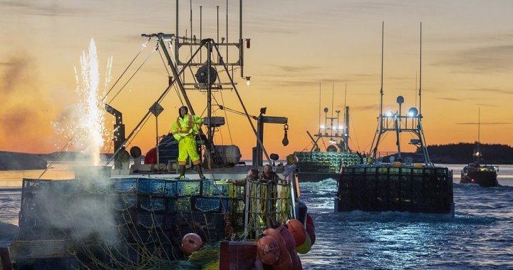 China's tariffs on Canadian seafood are added to commercial uncertainty