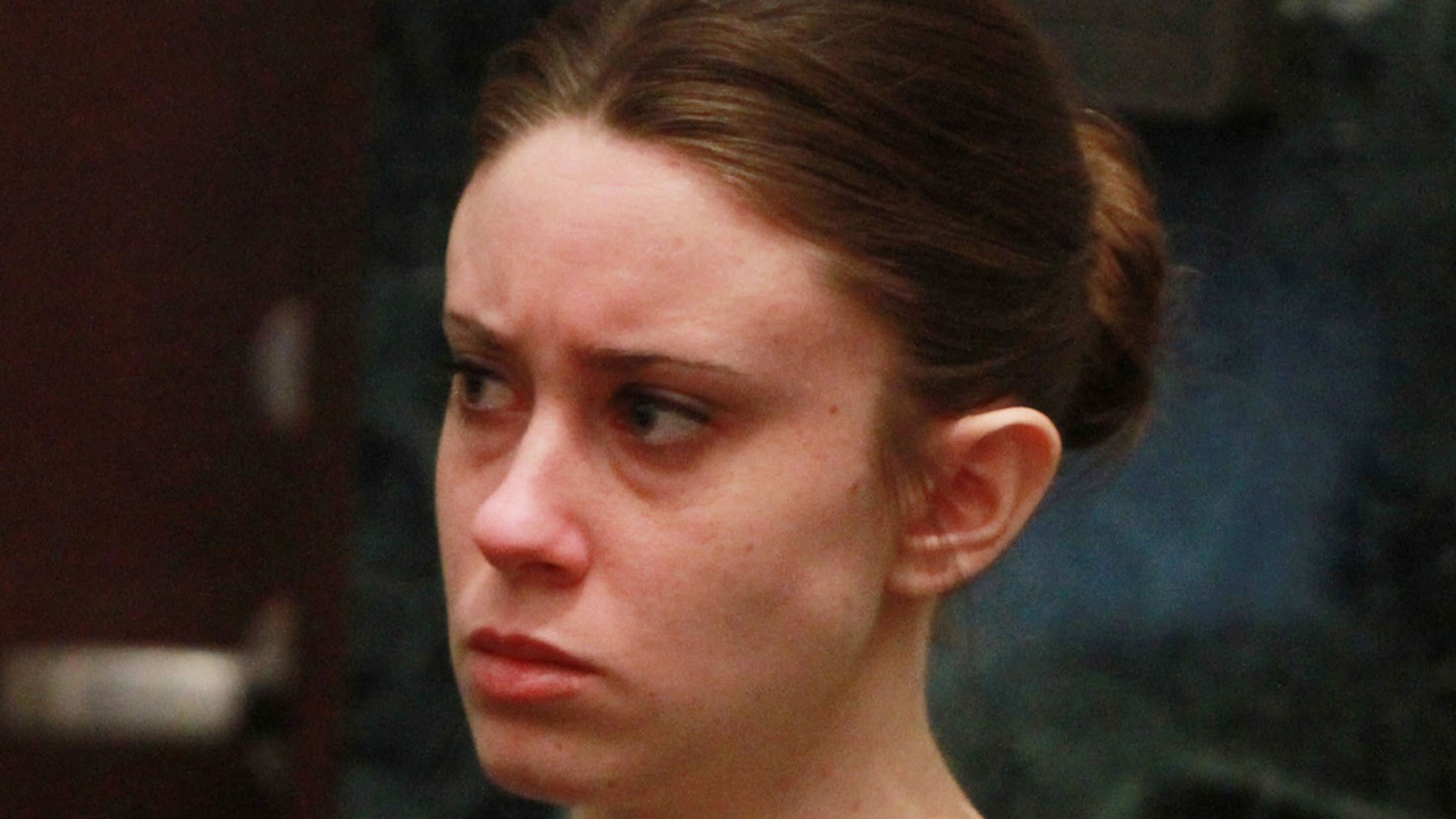 Casey Anthony's new lawyer is all about money and fame: judges