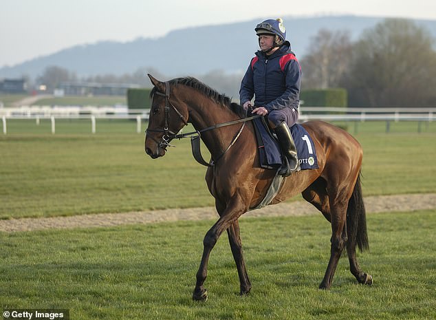 Gordon Elliott hopes that the protagonist BrightS