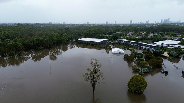 Gold Coast Titans forced to flee Sydney after former tropical cyclone Alfred floods his operations base