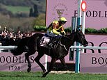 Cheltenham Festival 2025 Day One Live: Last tips, racing cars and results before the full opening action action