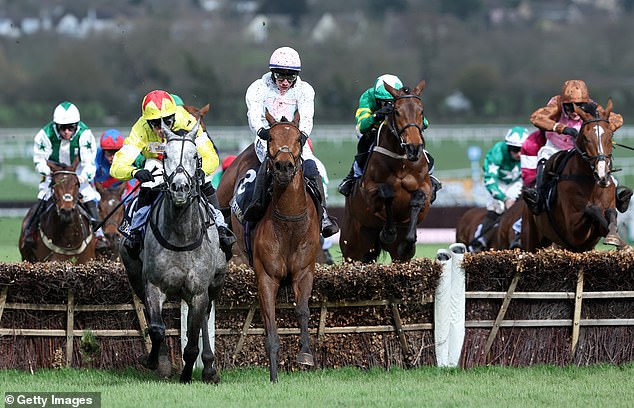 Cheltenham Festival: Supercomputer predicts the winners of the first day of the event … and it is bad news for the favorites